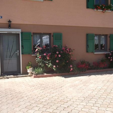 Gite Les Rosiers Traubach-le-Bas Buitenkant foto
